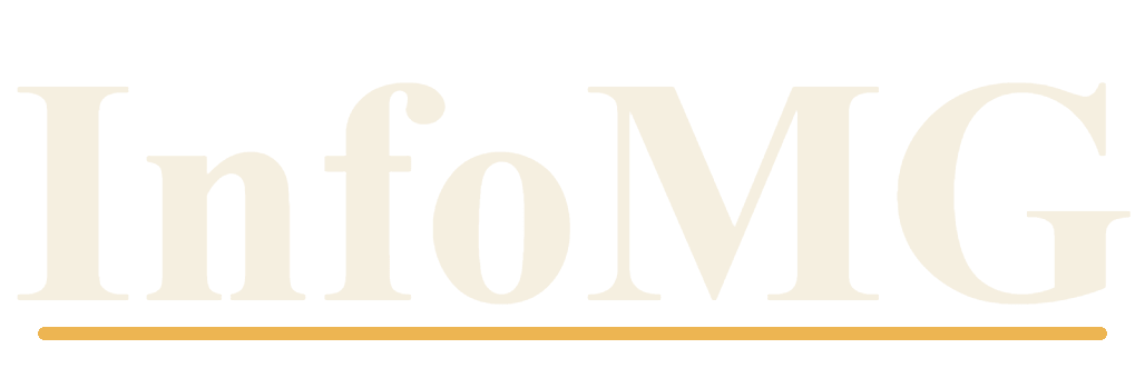 InfoMG - Applications Mobiles Métier